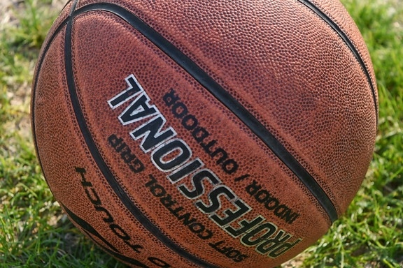 Ruskea koripallo nurmikolla, jossa näkyy Wilson-logo ja teksti “The Official Game Ball”.
